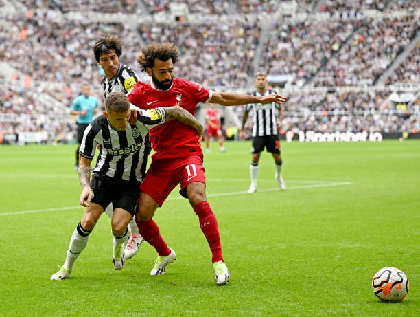 不能不让人 不能不让人