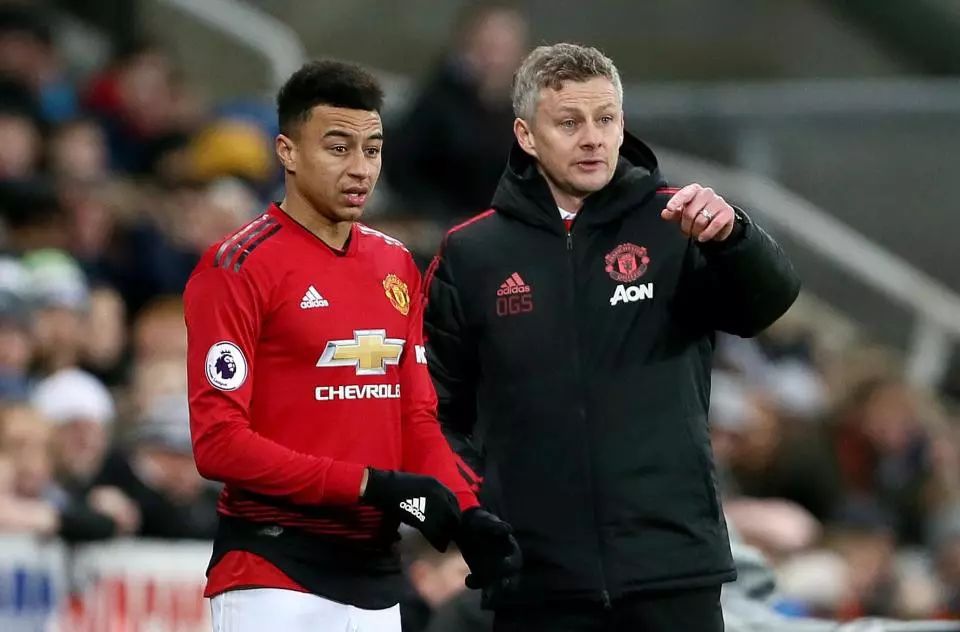 他不仅领悟 他不仅领悟